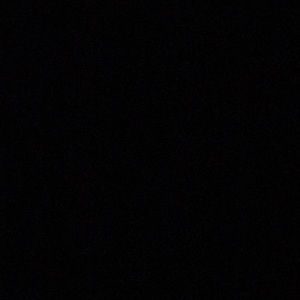 Meet your Posher, Dylan